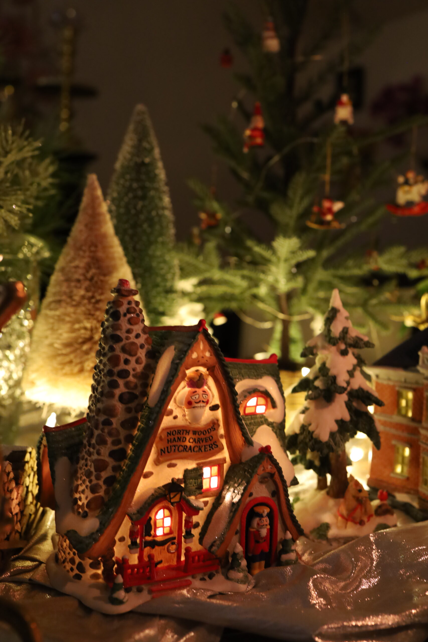 Start of my Christmas Village Collection